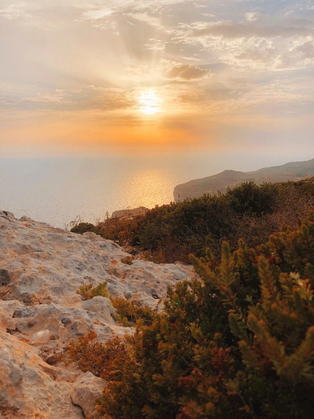 Carnault No. 1 Carnault