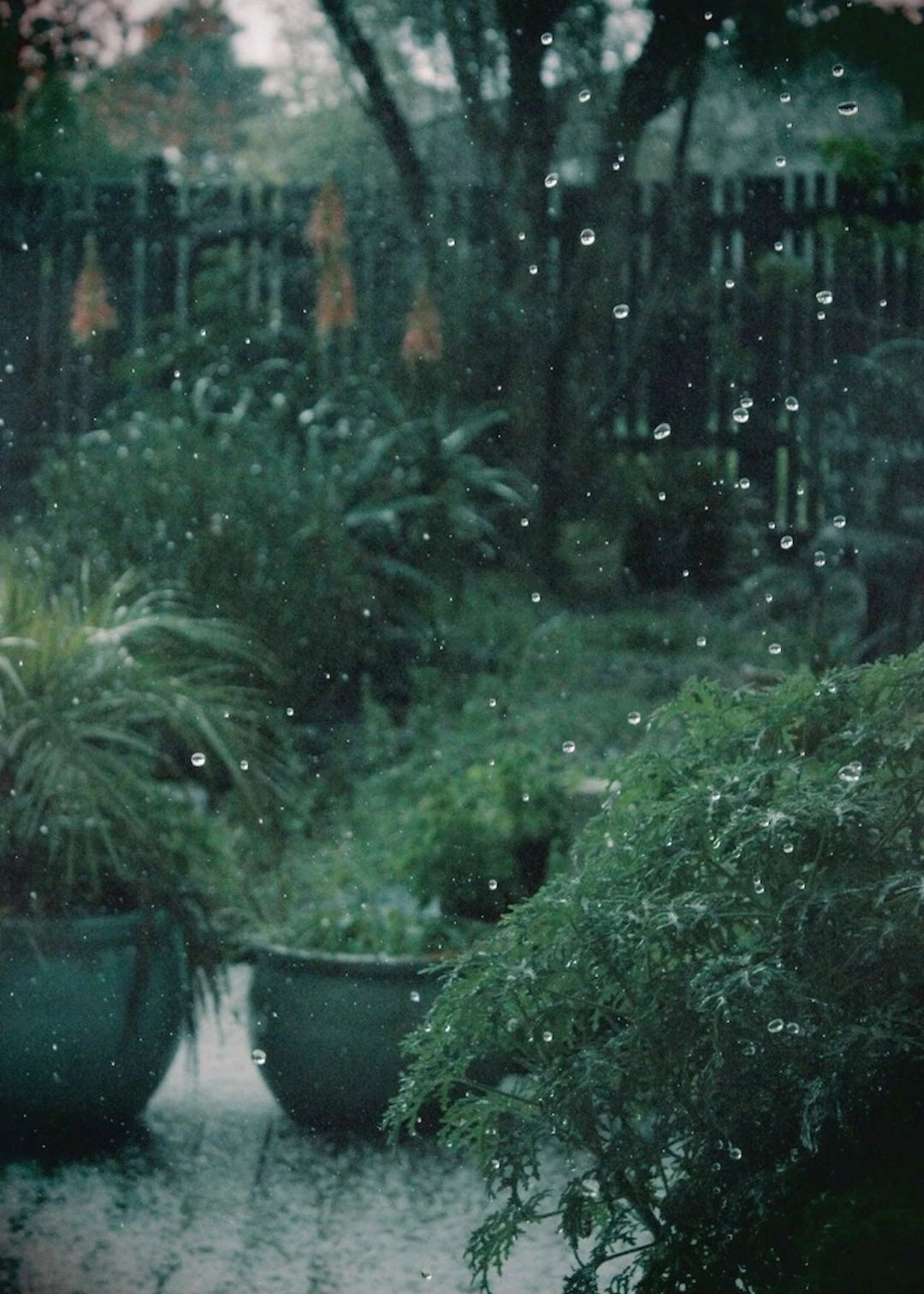 Carnault No. 3 Carnault