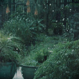 Carnault No. 3 Carnault