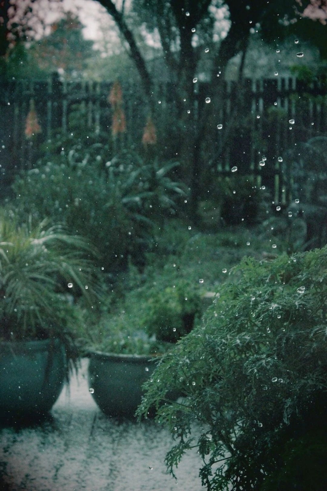 Carnault No. 3 Carnault